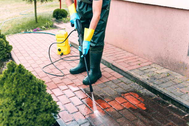 Spring Cleaning in Twin Lakes, CA